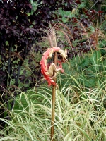 Garden Ornament